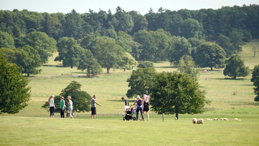 The parkland at Berrington in the summer